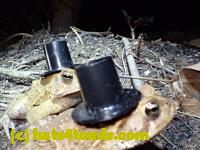 /home//u458753944/public_html/sourcegallery///////////////////////////////////////////Roxborough Toad Detour/2013-2019/2016/2016-03-31/P3310706.JPG